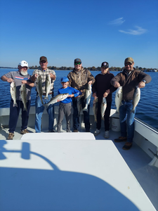 Epic Striped Bass Fishing In Chesapeake Bay!